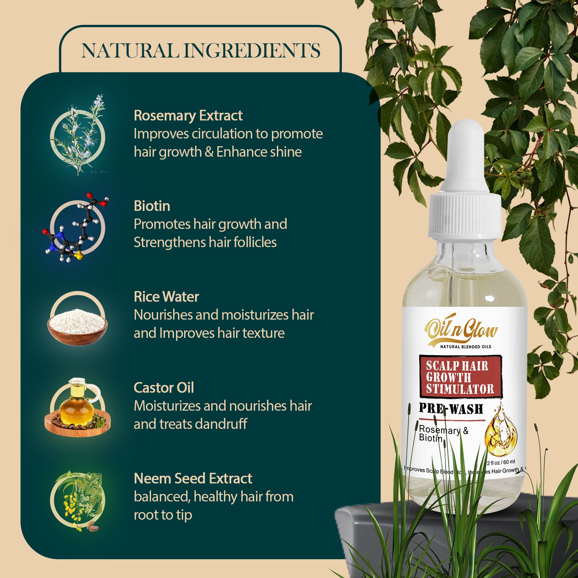 
OilnGlow Pre Wash Hair Oil – USDA Certified Organic Scalp Oil Hair Growth Treatment with Rosemary & Biotin, Pre-Shampoo Serum for Thinning Hair & Hair Loss – 2 Fl OzRosemary Biotin Scalp Treatment